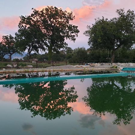 Agriturismo Albero Del Miele Βίλα San Rufo Εξωτερικό φωτογραφία