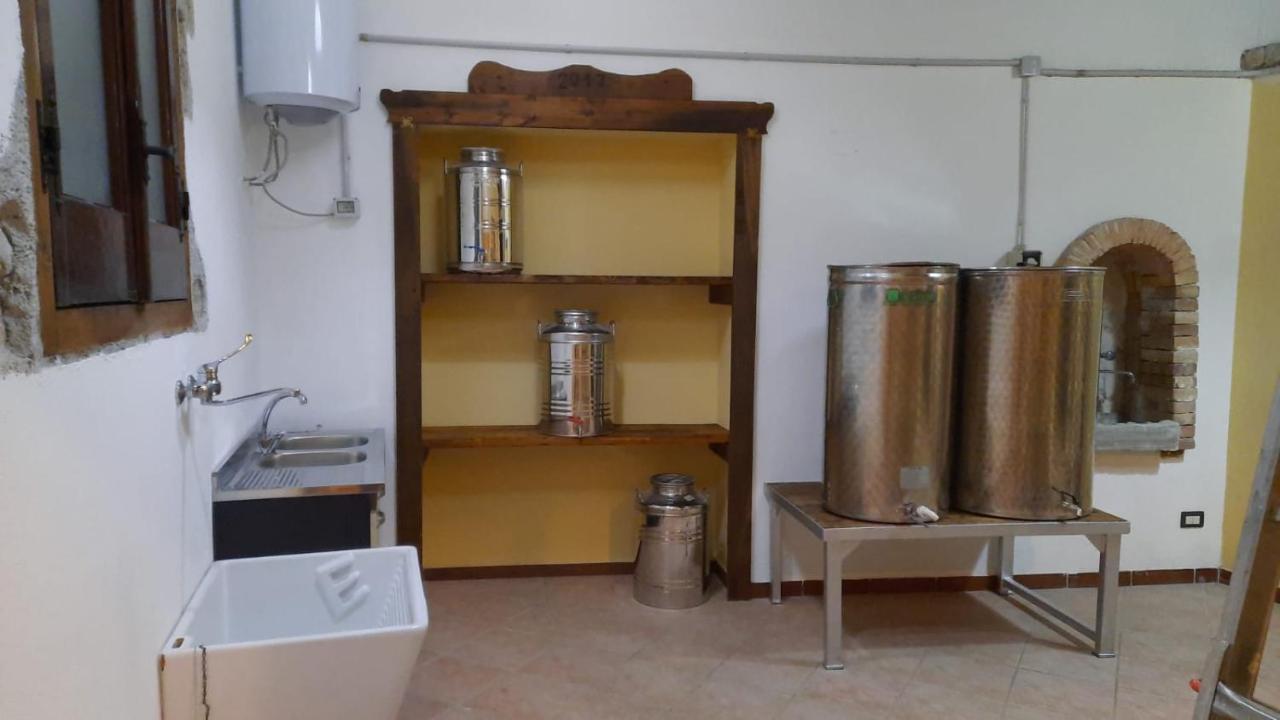 Agriturismo Albero Del Miele Βίλα San Rufo Εξωτερικό φωτογραφία