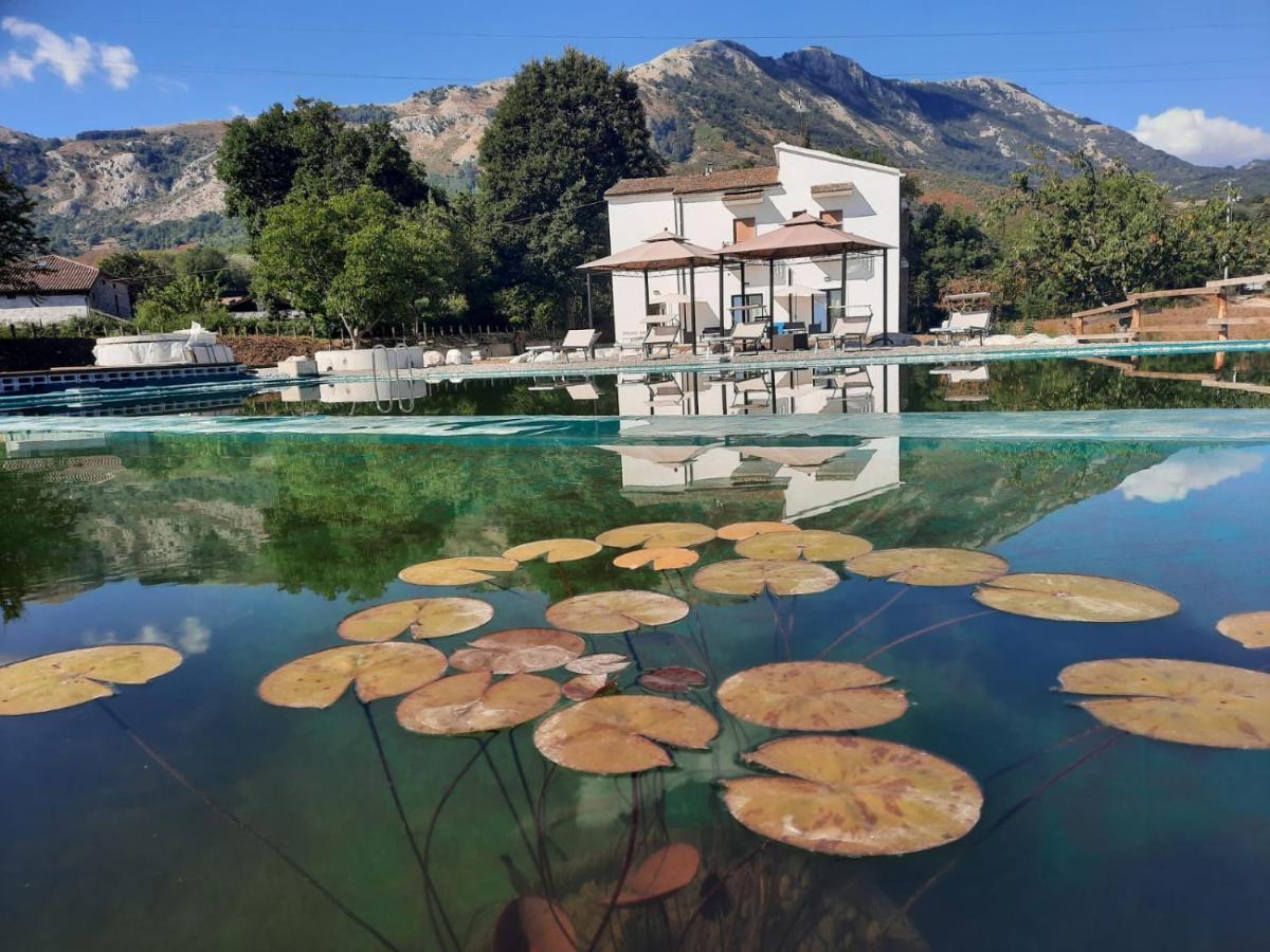 Agriturismo Albero Del Miele Βίλα San Rufo Εξωτερικό φωτογραφία