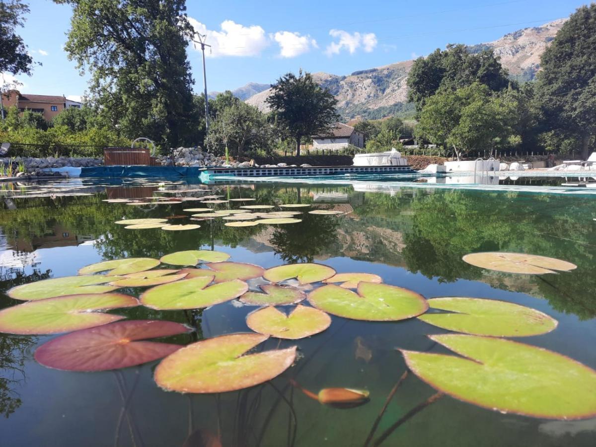 Agriturismo Albero Del Miele Βίλα San Rufo Εξωτερικό φωτογραφία